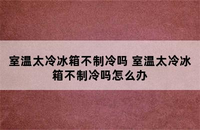 室温太冷冰箱不制冷吗 室温太冷冰箱不制冷吗怎么办